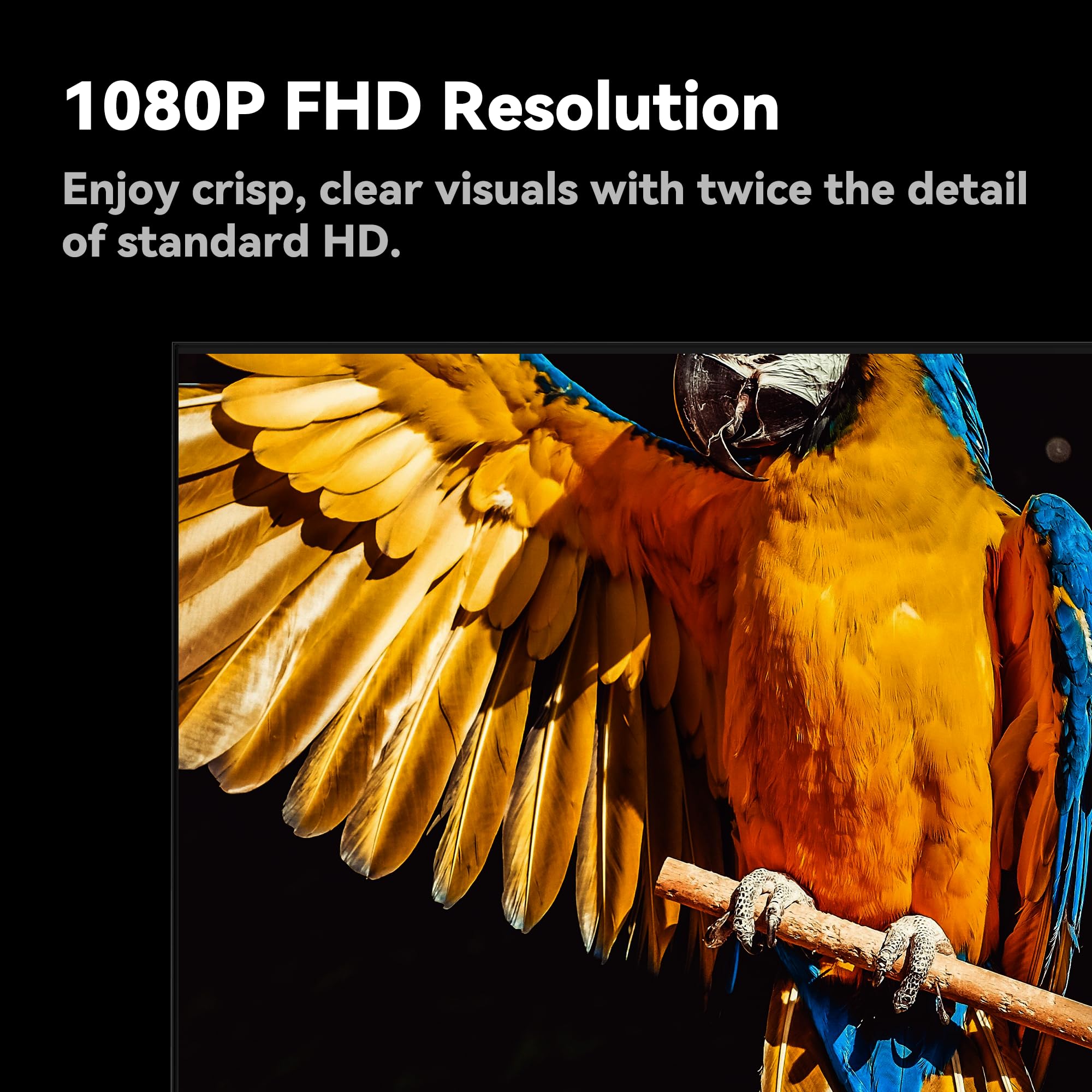 FPD 43-inch Smart TV Google TV 1080p Full HD with Google Play and Chromecast Built-in, HDR 10, Dolby Audio, Voice Remote, Stream Live TV(Palette-Series, CG43-P3, 2024 Model)