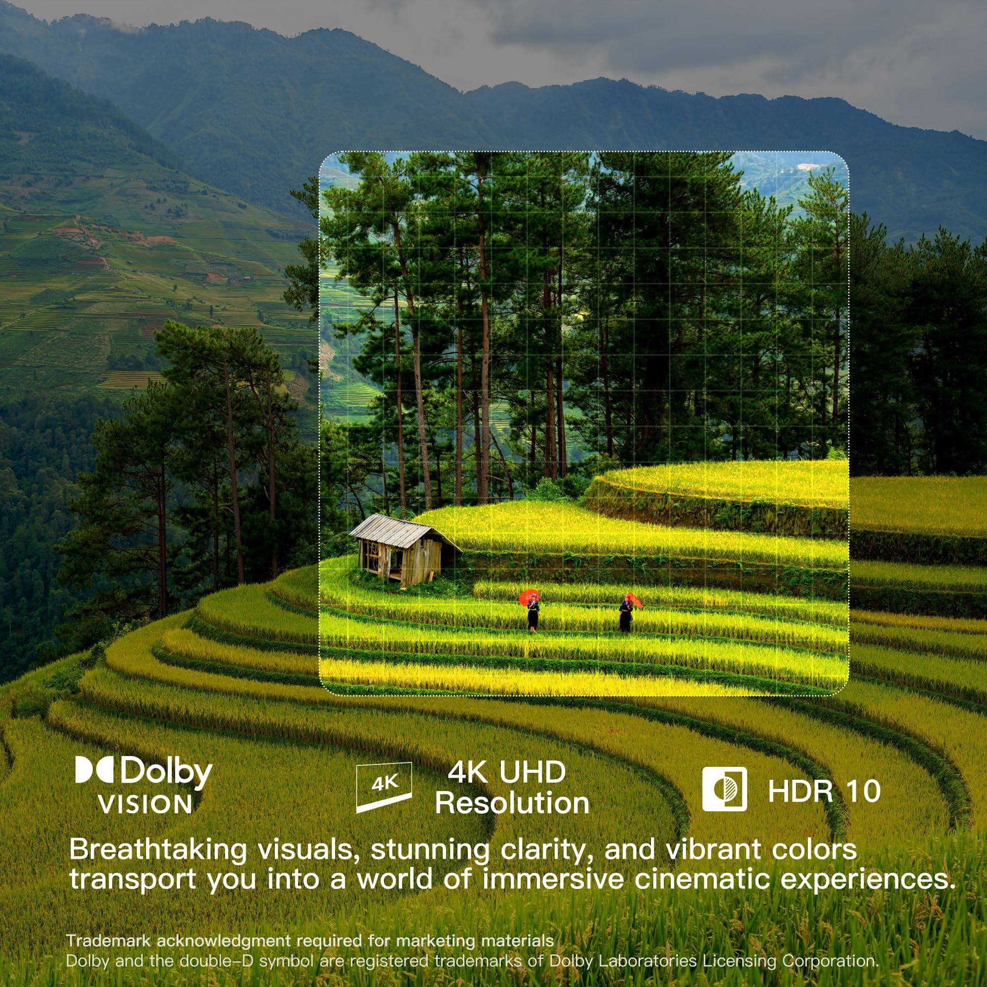 FPD 43-inch Smart TV Google TV 1080p Full HD with Google Play and Chromecast Built-in, HDR 10, Dolby Audio, Voice Remote, Stream Live TV(Palette-Series, CG43-P3, 2024 Model)